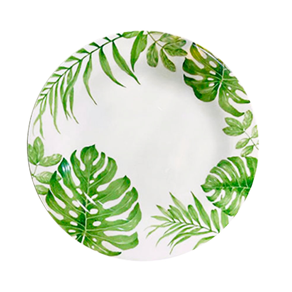 PLATO LLANO PLANT HOUSE