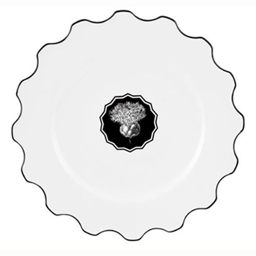 PLATO LLANO HERBARIAE-C. LACROIX