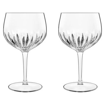 SET DE 2 COPAS GIN TONIC GIN GLASS