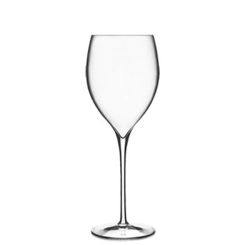 COPA 460 ML MAGNIFICO