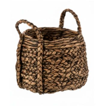 CESTA JACINTO DE AGUA MED
