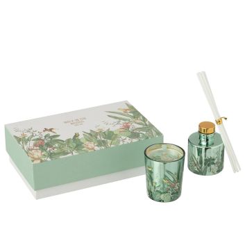 SET DE REGALO EVERGREEN & SILVER BIRCH