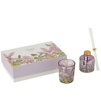 SET DE REGALO  MIMOSA & ROSE