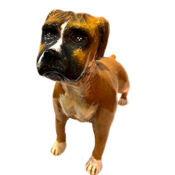 PERRO BOXER