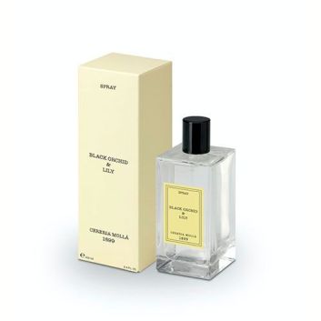 SPRAY AMBIENTADOR BLACK ORCHID & OUD