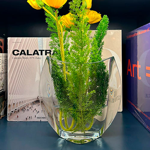 FLORERO MEDIANO ORBIT