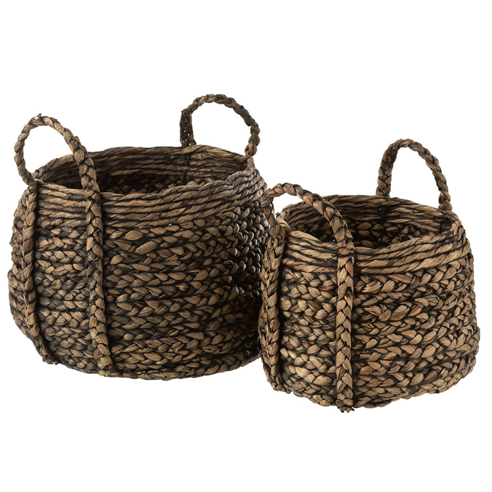 CESTA JACINTO DE AGUA MED