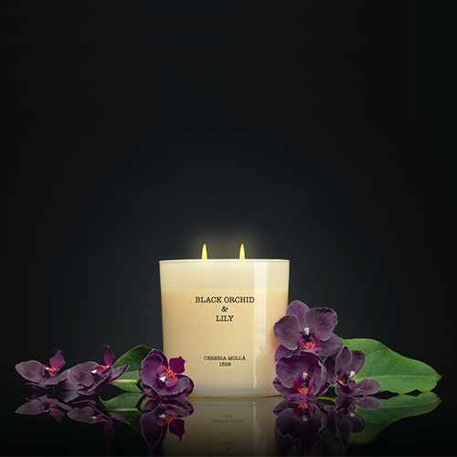 VELA AROMATICA XL PREMIUM BLACK ORCHID